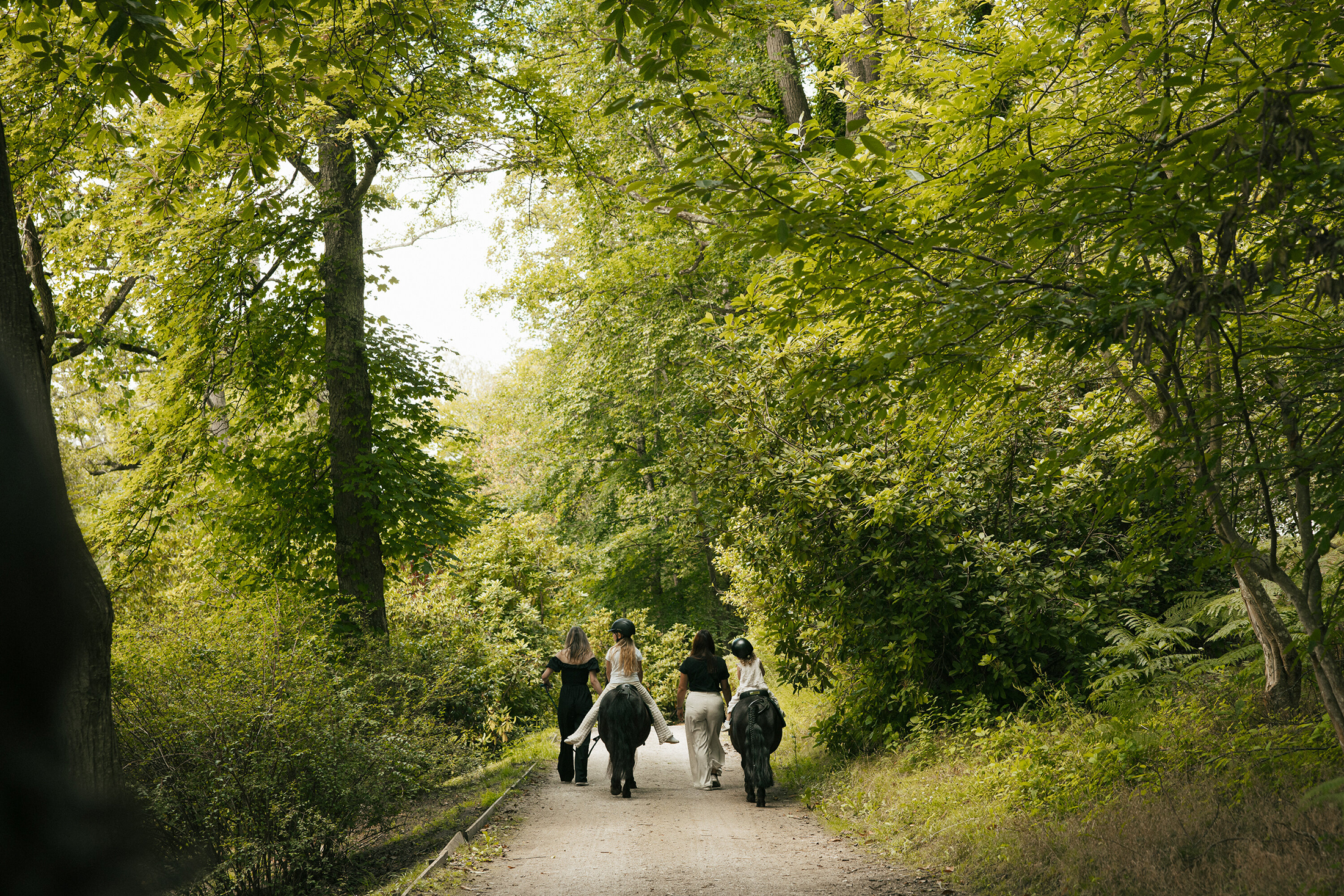 Baladez vous dans le parc forestier du Domaine de Dampierre-en-Yvelines