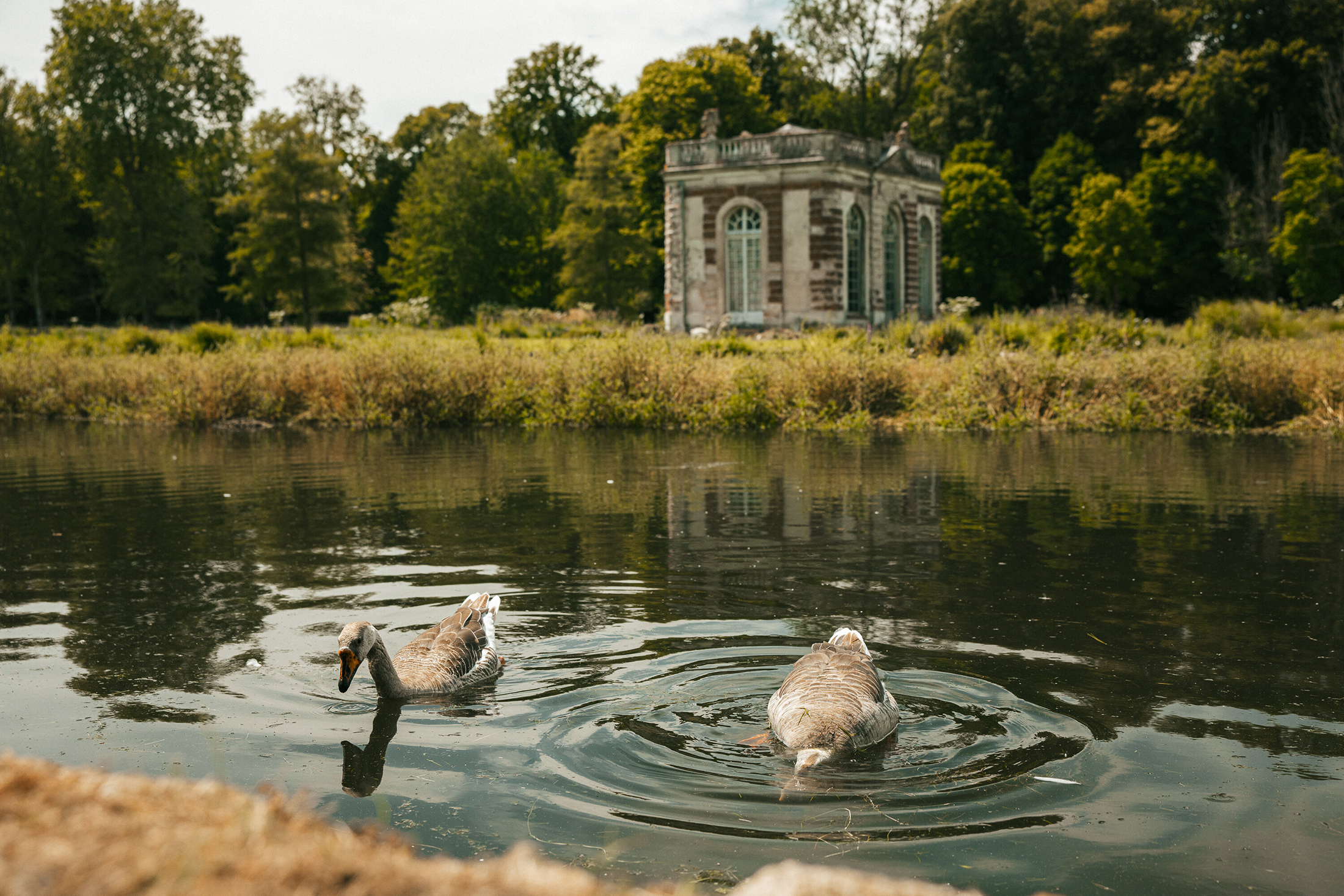 Découvrez les jardins du Domaine de Dampierre-en-Yvelines