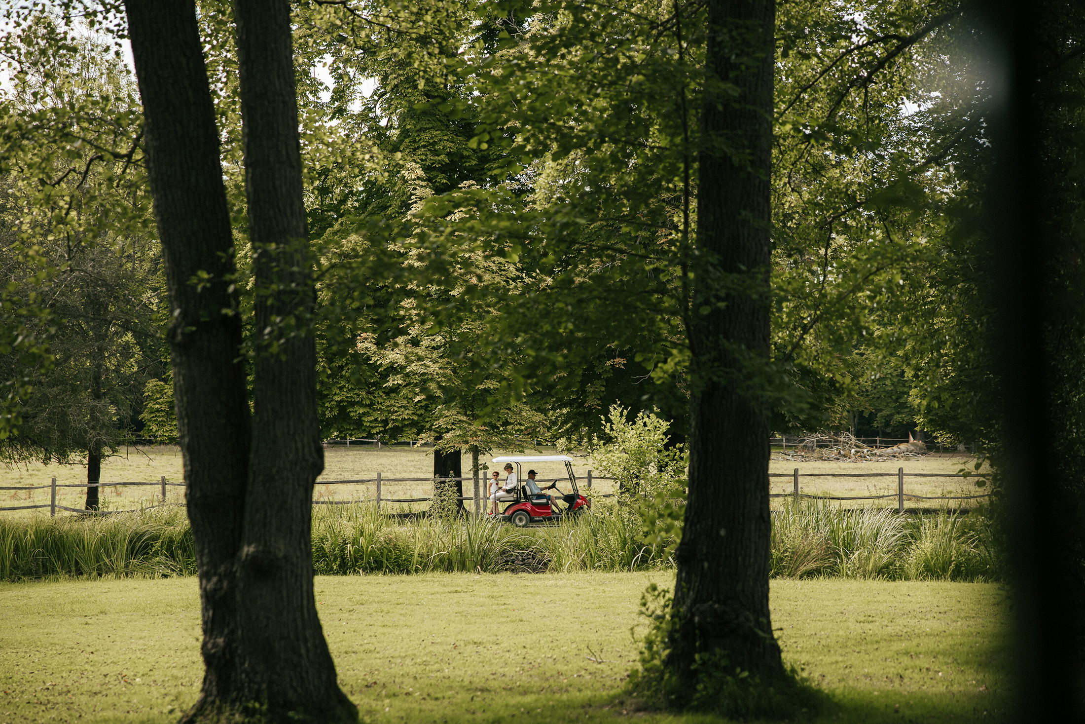 Découvrez les jardins du Domaine de Dampierre-en-Yvelines