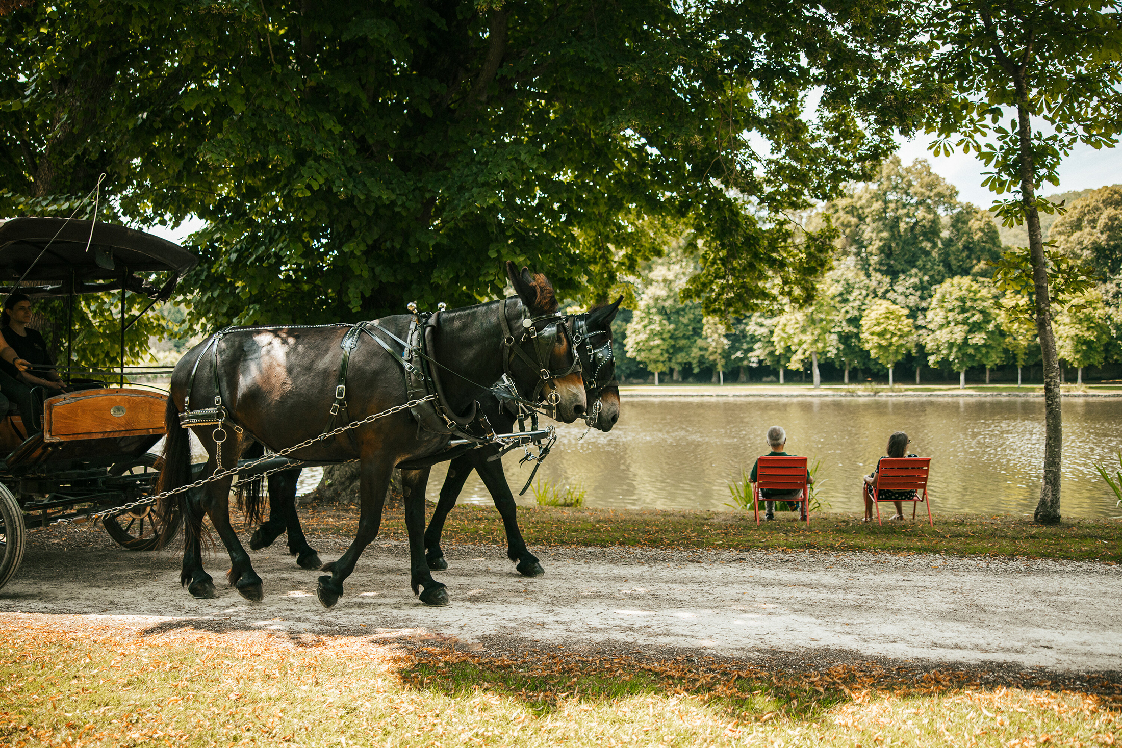 Visitez le parc et les jardins du Domaine de Dampierre-en-Yvelines